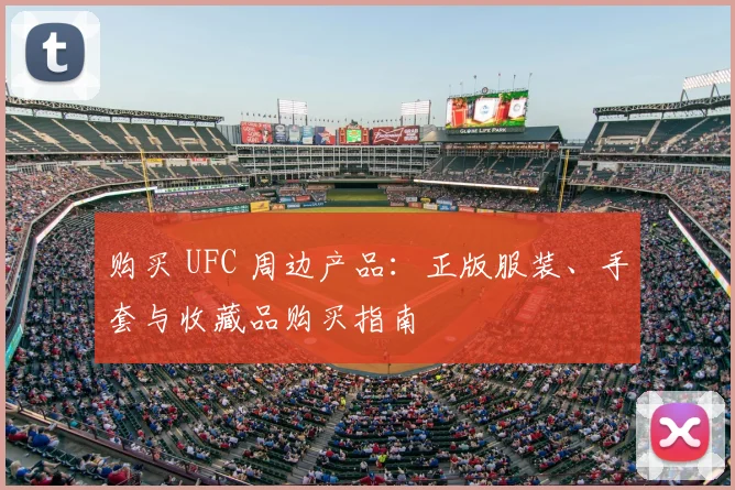 购买 UFC 周边产品：正版服装、手套与收藏品购买指南