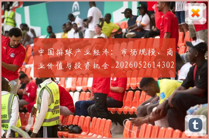 中国排球产业经济:市场规模、商业价值与投资机会_20260526143026