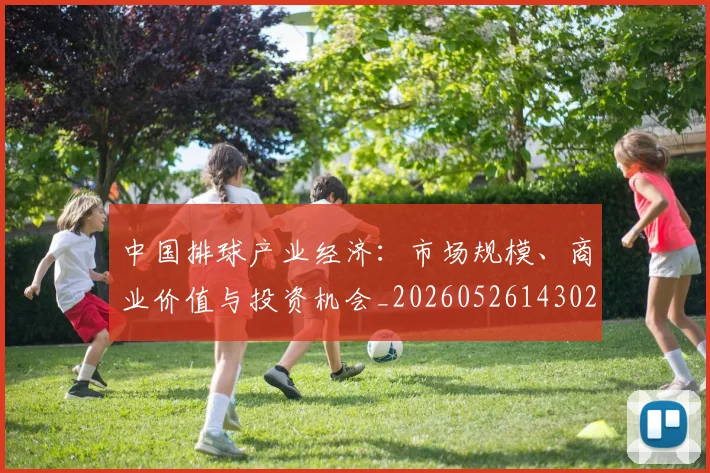 中国排球产业经济:市场规模、商业价值与投资机会_20260526143026