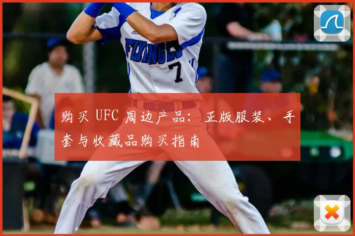 购买 UFC 周边产品:正版服装、手套与收藏品购买指南